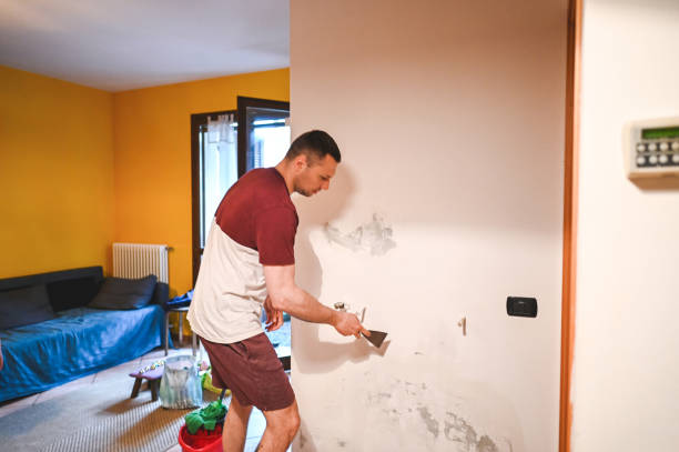 Best Post-Remediation Services in Milan, TN